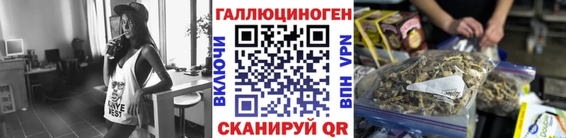 Галлюциногенные грибы MAGIC MUSHROOMS  Черкесск 